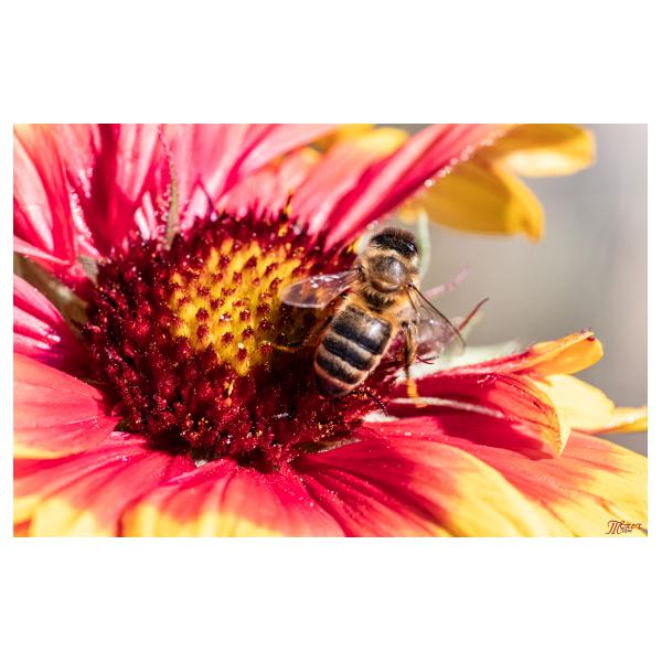 PHOTO84, CLUB, 84 , LUBERON